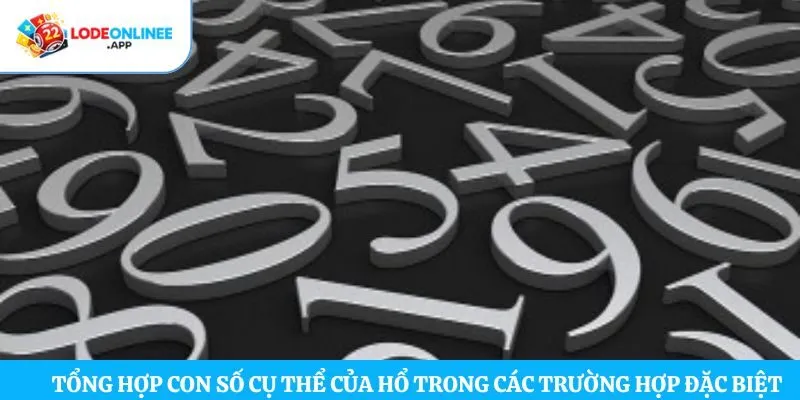 Tổng hợp con số cụ thể của hổ trong các trường hợp đặc biệt